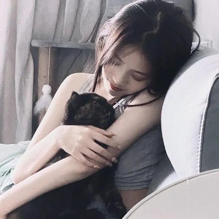 灵探特莱丝