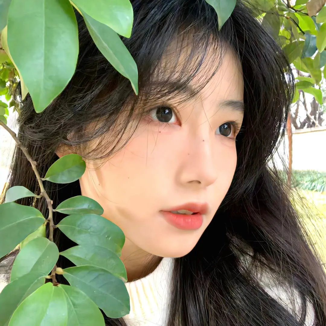 曼蒂