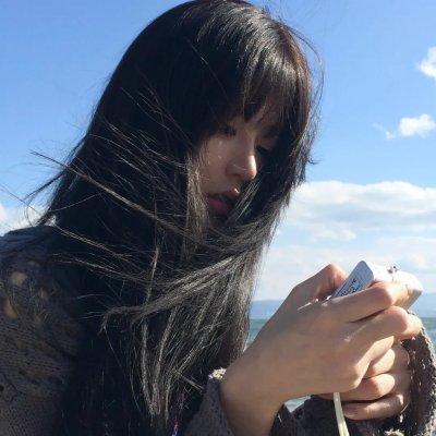 棕榈树森林